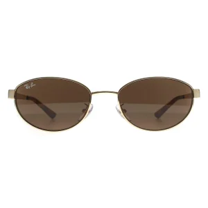 Ray-Ban Sunglasses RB3774D 001/73 Polished Arista Gold Dark Brown