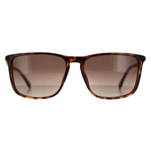 Boss Sunglasses 0665 DWJ HA Havana Brown Brown Gradient