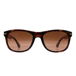 Serengeti Sunglasses Anteo 8671 Shiny Dark Tortoise Drivers Gradient Polarized Photochromic