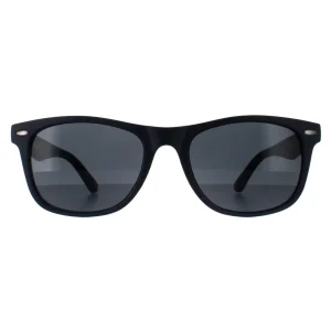 Smarty Sunglasses SB2309 C Frosty Dark Blue Blue