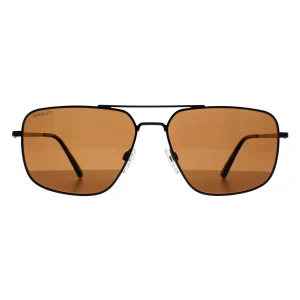Serengeti Sunglasses Agostino 8824 Shiny Gunmetal  Brown Polarized Drivers Photochromic