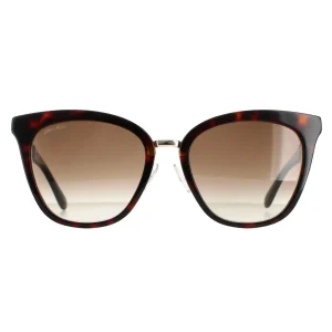 Jimmy Choo Sunglasses Fabry/S KBE JS Havana Glitter Black Brown Gradient
