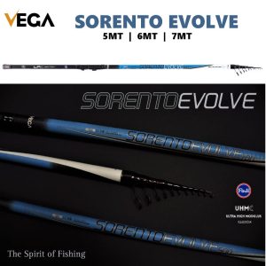 Cana Vega Sorento Evolve