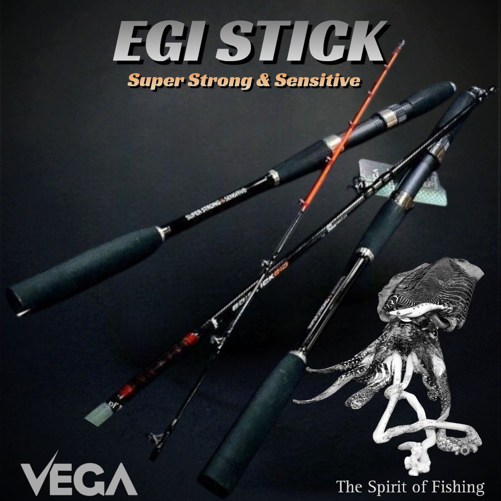 EGI STICK - Image 3