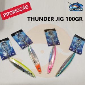 Williamson Thunder Jig 100gr