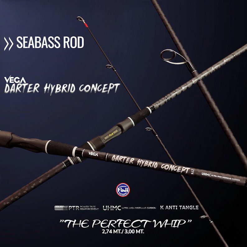 3.00mt Cana Vega Darter Hybrid Concept