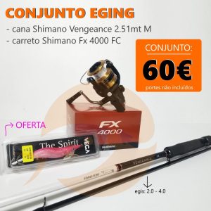 Conjunto Eging Shimano Vengeance 2.51mt M + Shimano FX 4000 FC