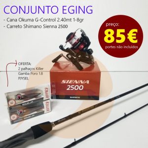 Conjunto Eging G-control 2.40mt + Sienna 2500