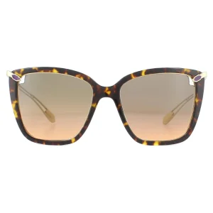Bvlgari Sunglasses BV8232 504/18 Havana  Orange Gradient Light Grey