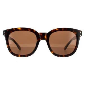 Gucci Sunglasses GG0571S 002 Dark Havana Brown