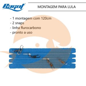 Ragot montagem para lulas